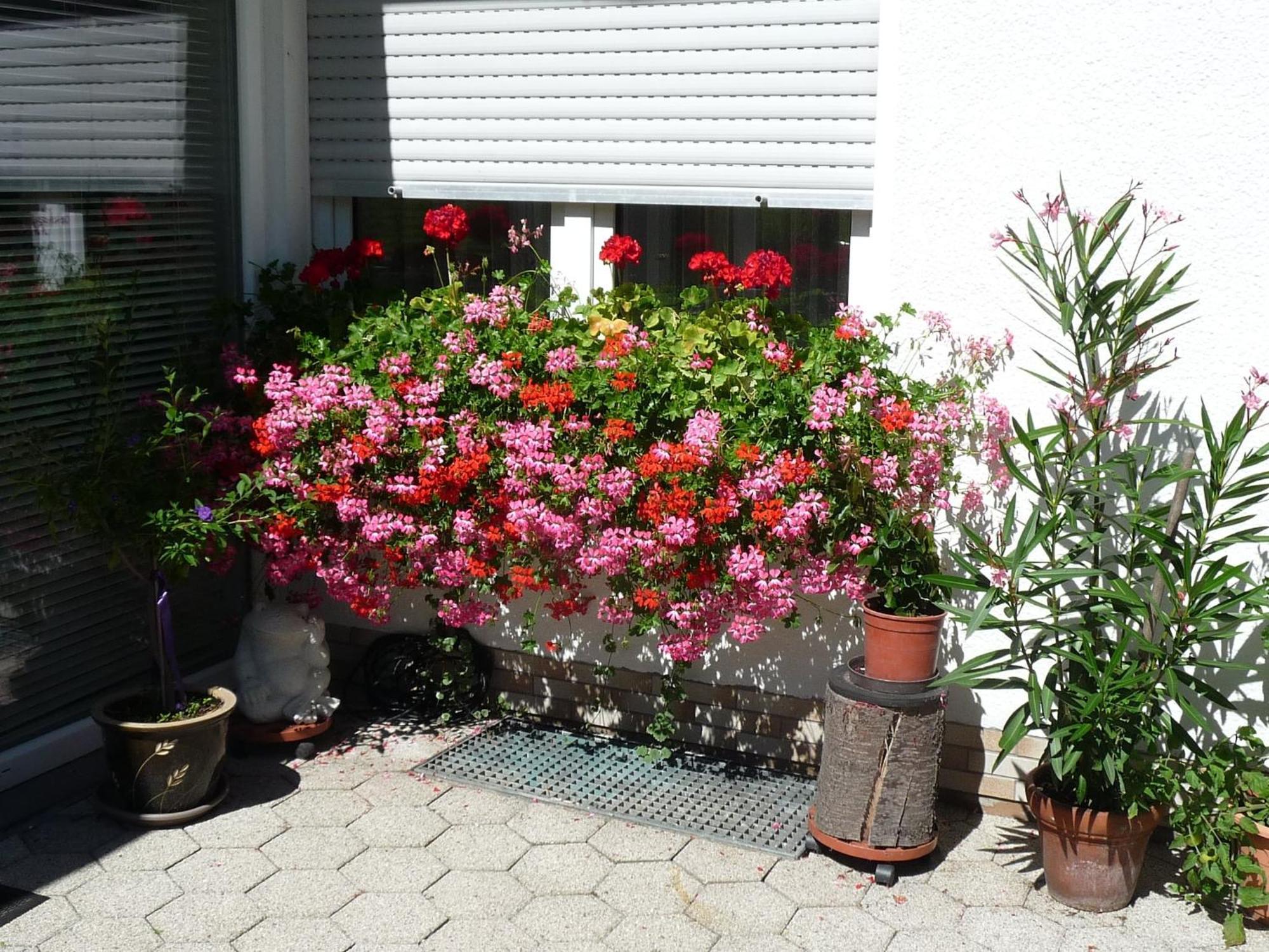Graceful Apartment In Velmede With Garden Bestwig Exterior foto